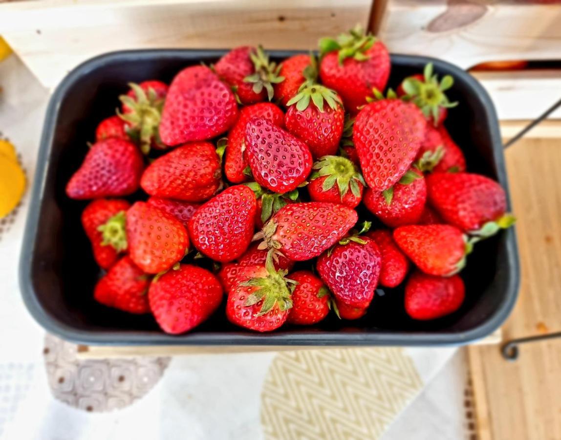 Hotel Elefantino Grey - Free Breakfast & Brunch Until 13-00 - Vicinissimi A Mirabilandia Milano Marittima Bagian luar foto